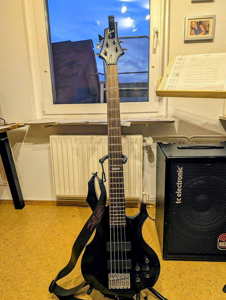 ESP Ltd. electric 5 string bass guitar F 255.jpg