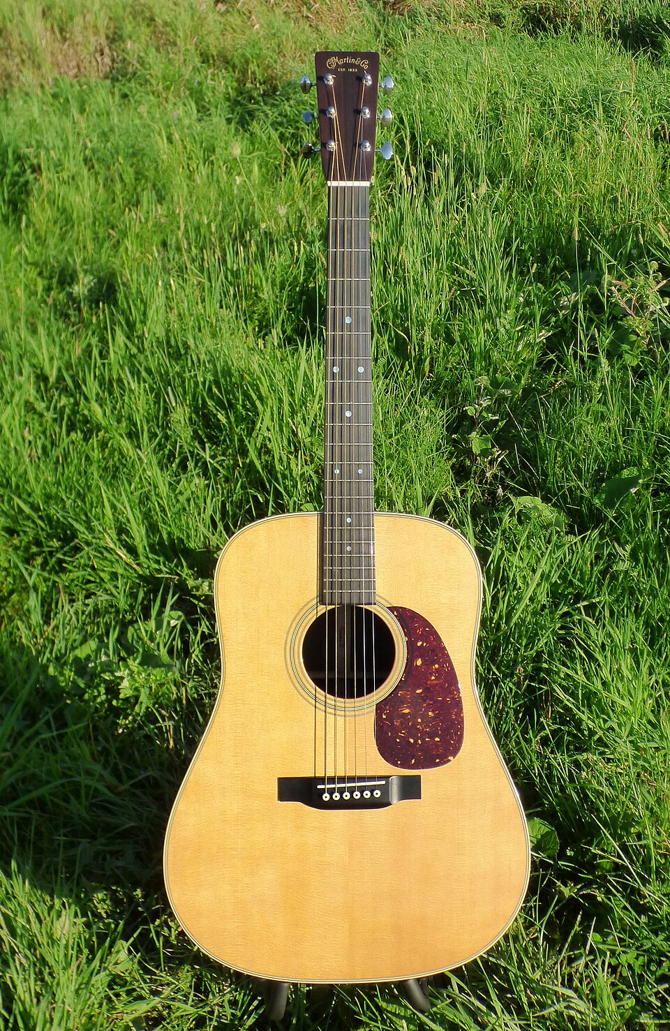 Martin D-28 Acoustic Guitar.jpg