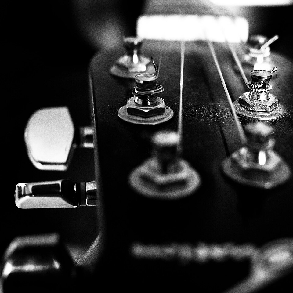 Ovation (484667).jpeg