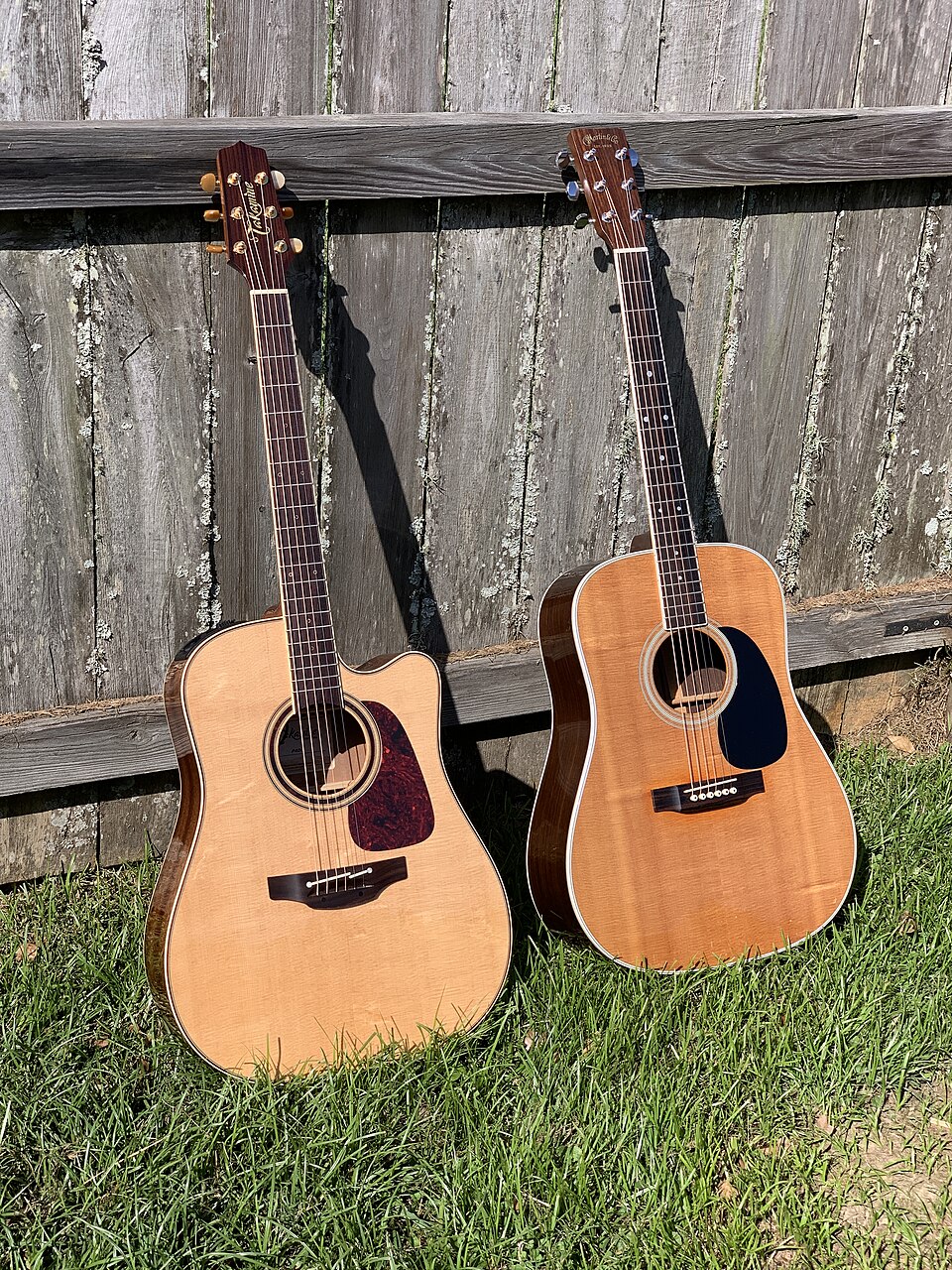 Takamine & Martin Guitars.jpg
