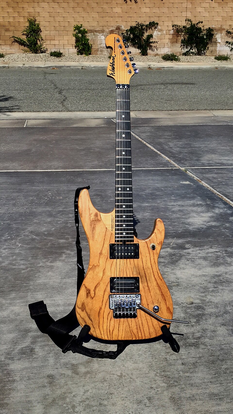 Washburn N4ESA (2015-05-05 by R924).jpg